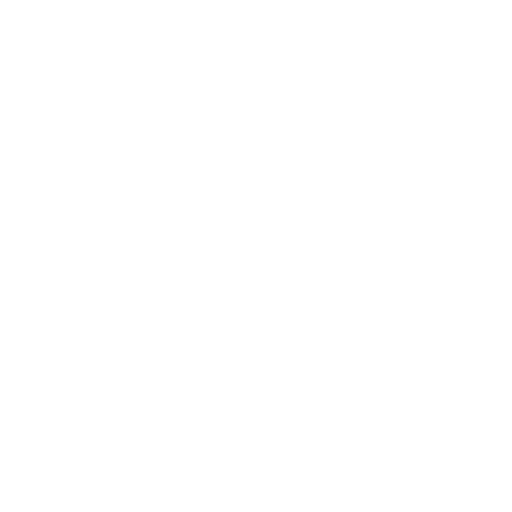 Opção Net